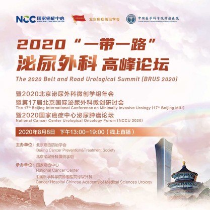 2020年“一带一路”泌尿外科高峰论坛 暨2020年北京泌尿外科微创学组年会 暨2020国家癌症中心泌尿肿瘤论坛(NCCU 2020)